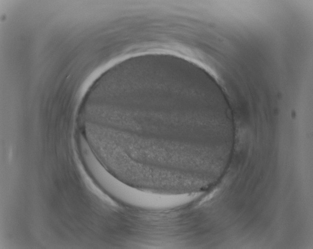 X0000061761518200512231538