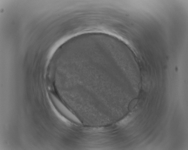 X0000061761519200512231538