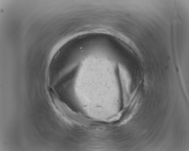 X0000061761520200512231538