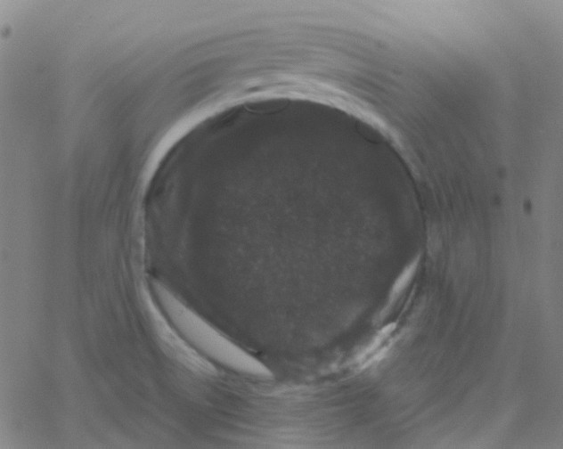 X0000061761522200512231538