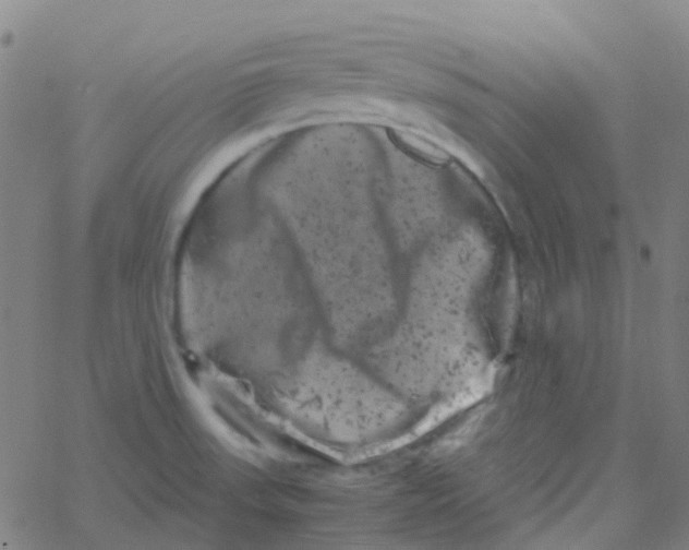 X0000061761523200512231538