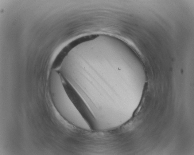 X0000061761524200512231538