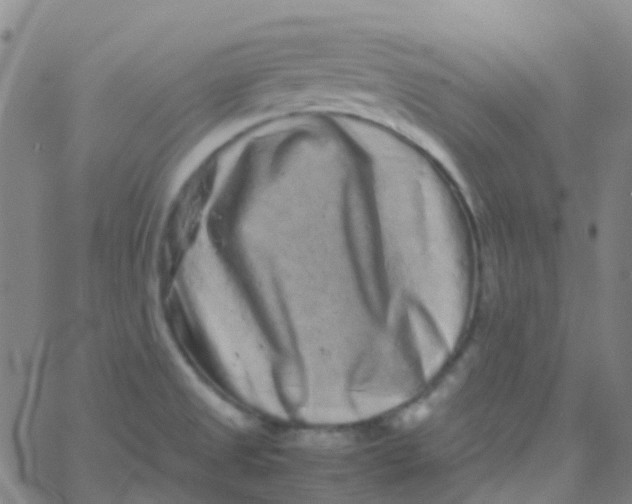 X0000061761525200512231538