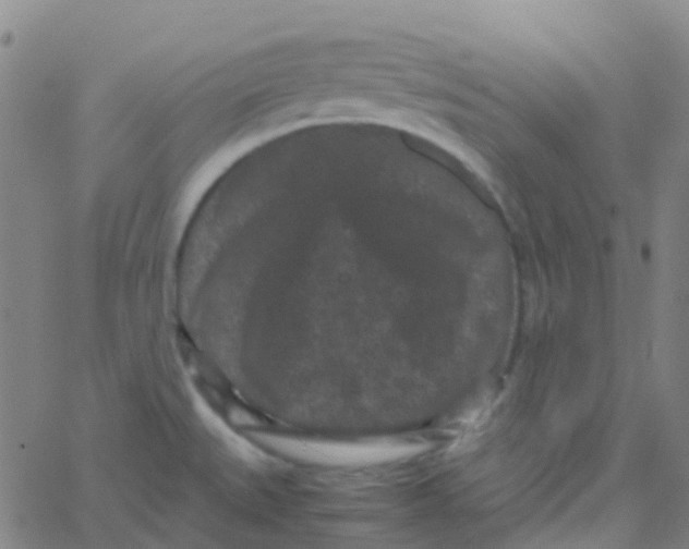 X0000061761527200512231538