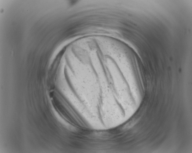 X0000061761531200512231538