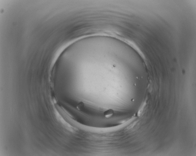 X0000061761532200512231538