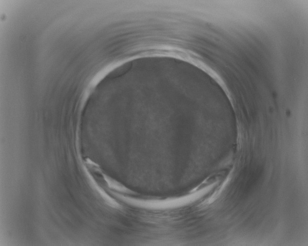 X0000061761533200512231538