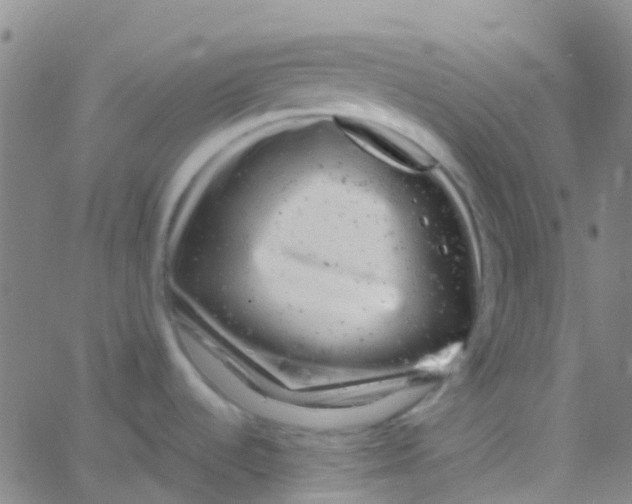 X0000061761536200512231538