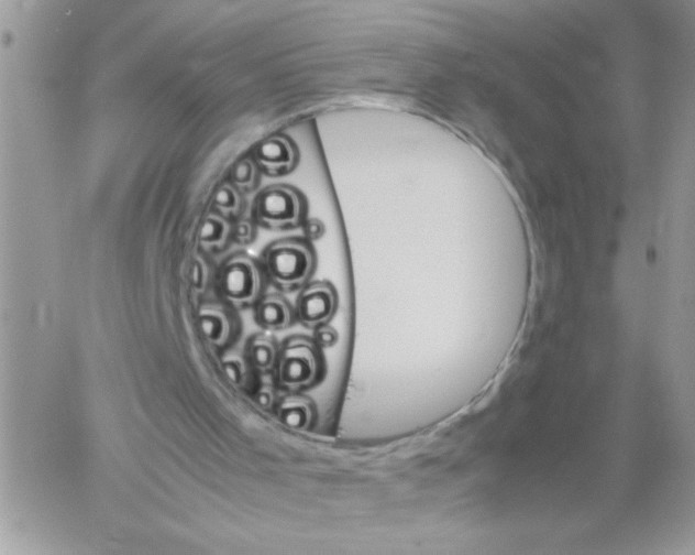 X0000061760001200512302315