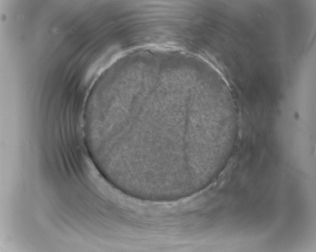 X0000061760002200512302315