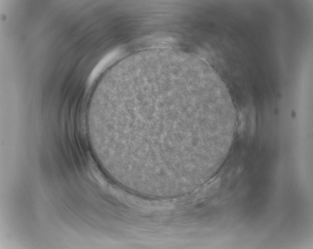 X0000061760004200512302315