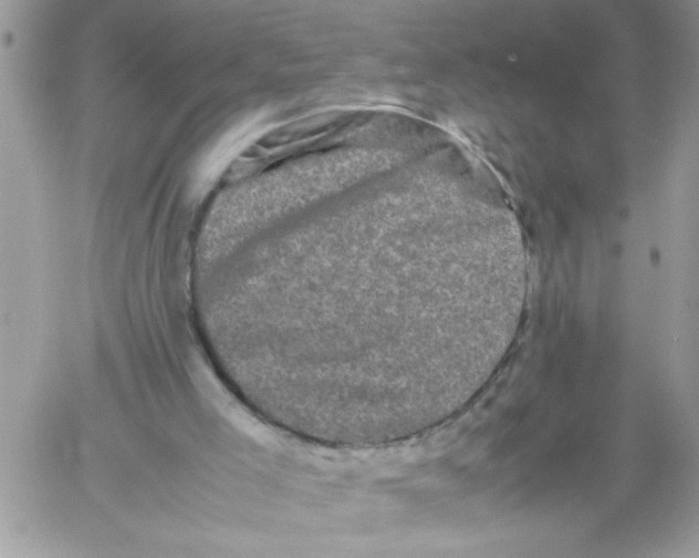 X0000061760005200512302315