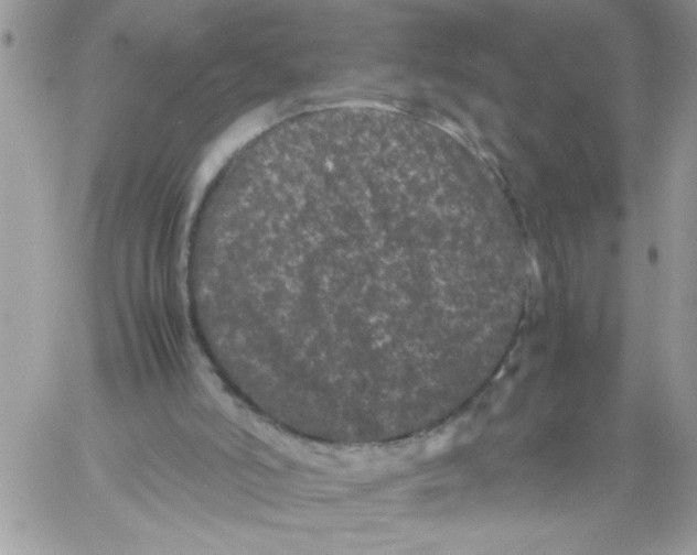 X0000061760006200512302315