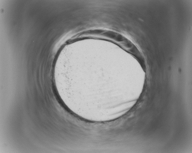 X0000061760007200512302315