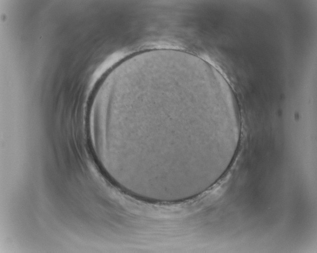 X0000061760008200512302315