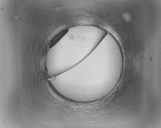 X0000061760009200512302315