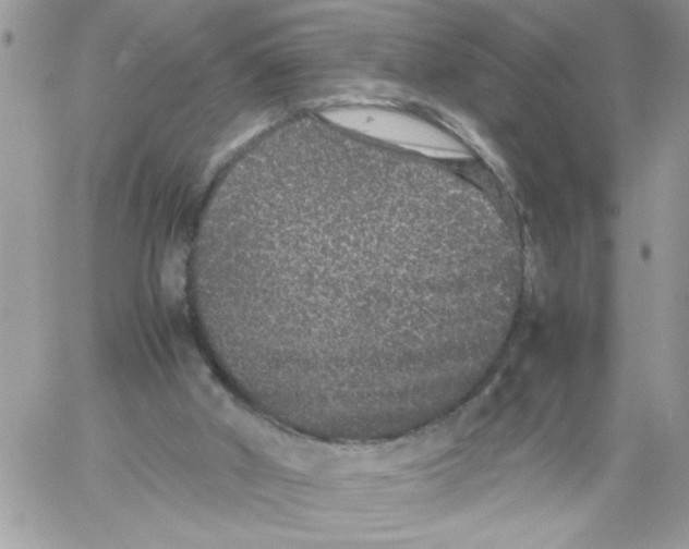 X0000061760010200512302315