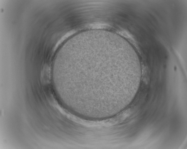 X0000061760012200512302315