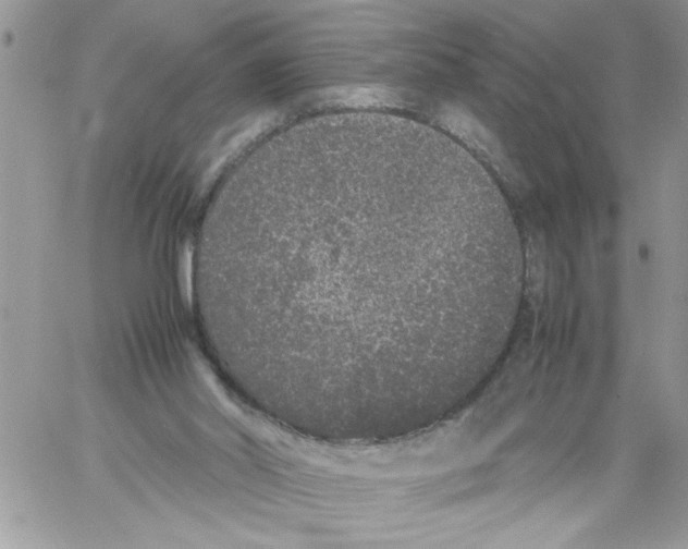 X0000061760014200512302315