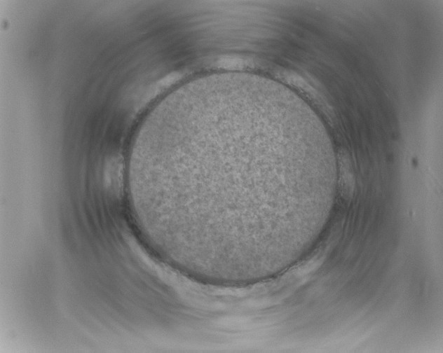 X0000061760016200512302315