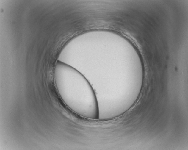 X0000061760017200512302315