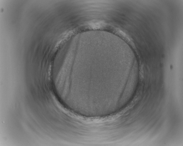 X0000061760018200512302315