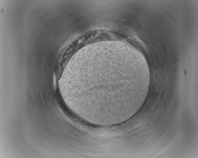 X0000061760020200512302315