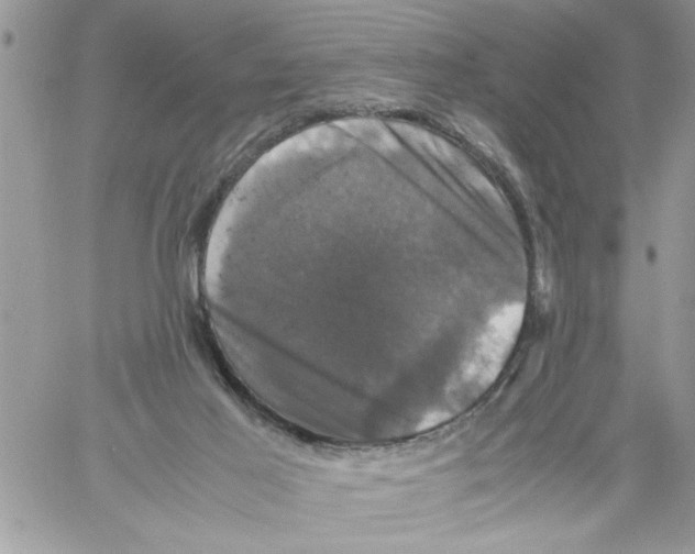 X0000061760021200512302315