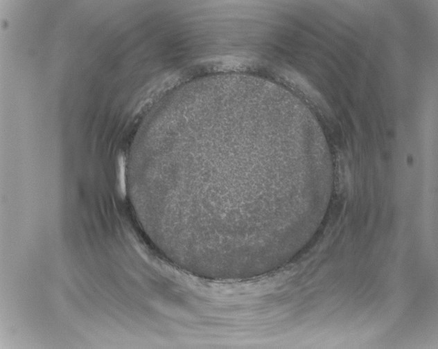 X0000061760022200512302315