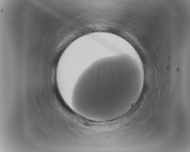 X0000061760023200512302315