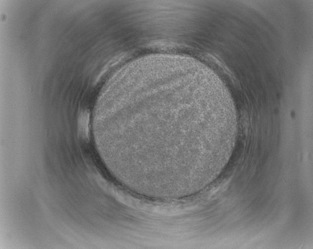 X0000061760024200512302315