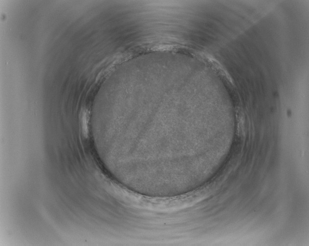 X0000061760026200512302315