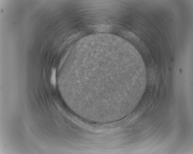 X0000061760028200512302315