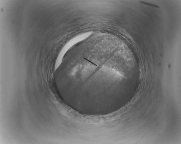 X0000061760029200512302315