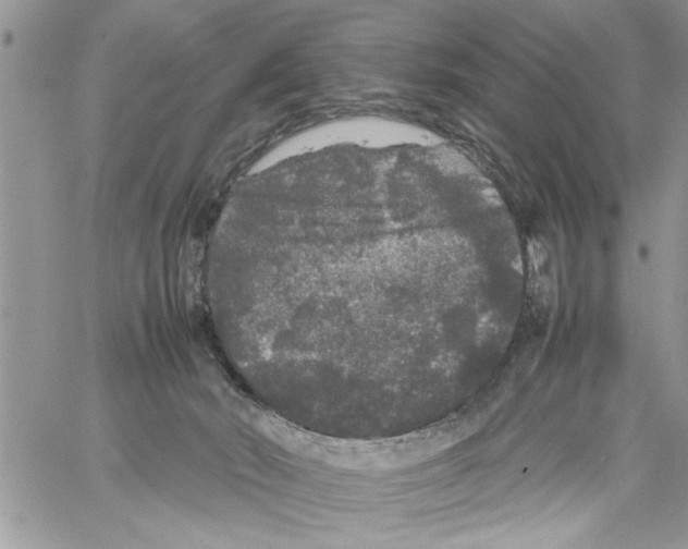 X0000061760030200512302315