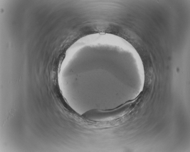 X0000061760031200512302315