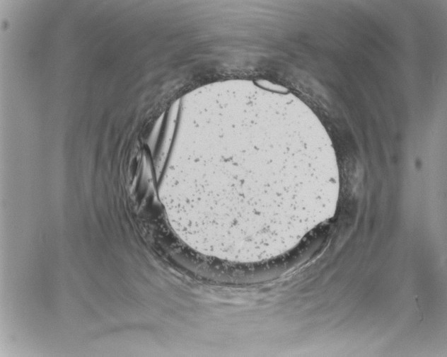 X0000061760033200512302315