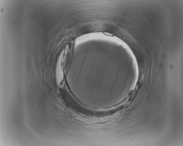 X0000061760035200512302315