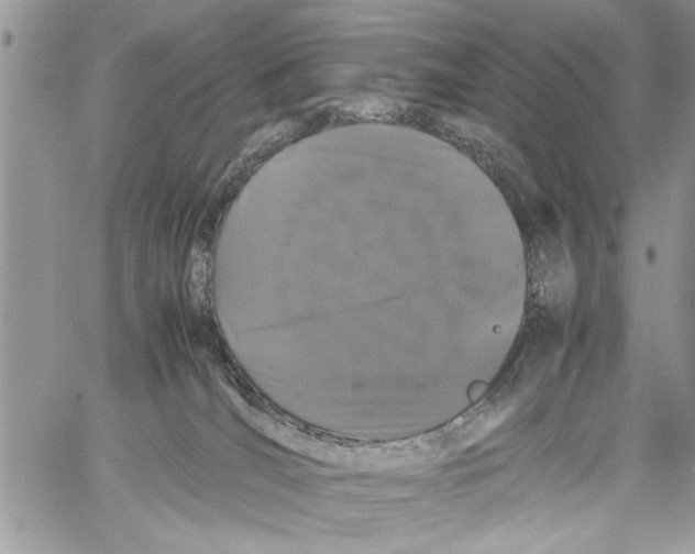 X0000061760036200512302315