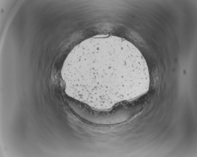 X0000061760037200512302315