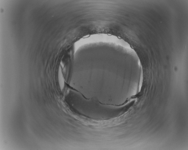 X0000061760039200512302315