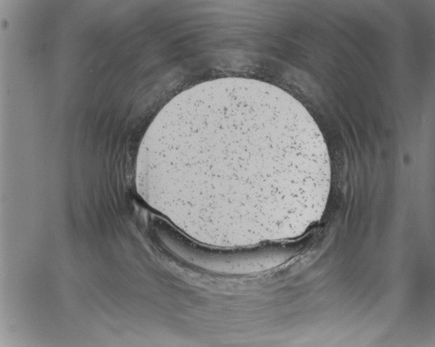 X0000061760040200512302315