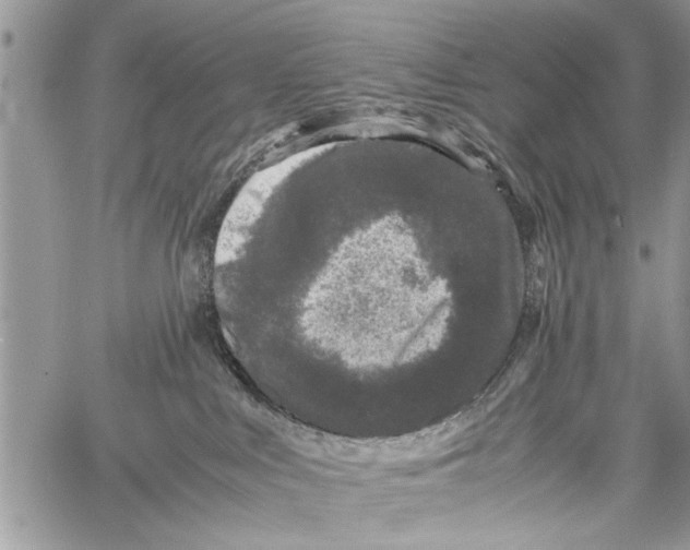 X0000061760043200512302315