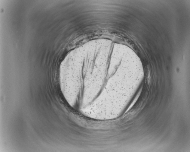 X0000061760044200512302315