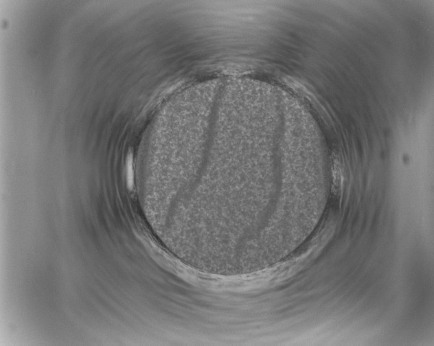 X0000061760046200512302315