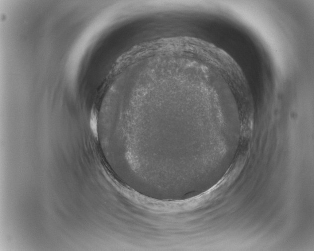 X0000061760047200512302315