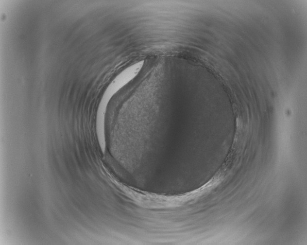 X0000061760048200512302315