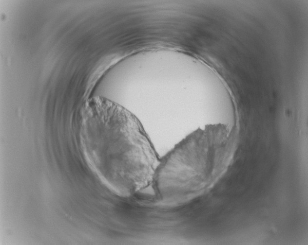 X0000061760049200512302314