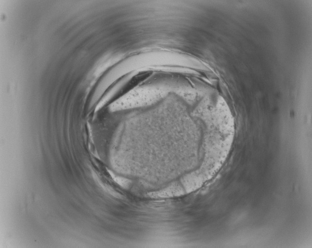 X0000061760050200512302314