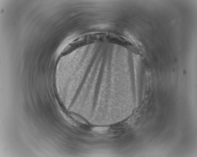 X0000061760051200512302314